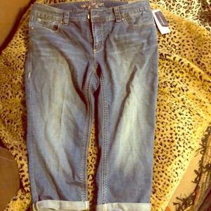 Melissa McCarthy plus Seven7 Crop Jeans